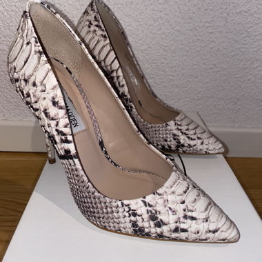 Décolleté Steve Madden stampa serpente taglia 36