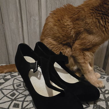 Talons 