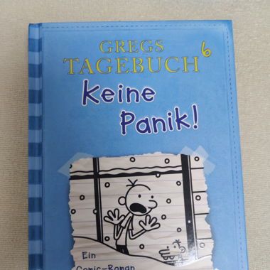 Gregs Tagebuch 6