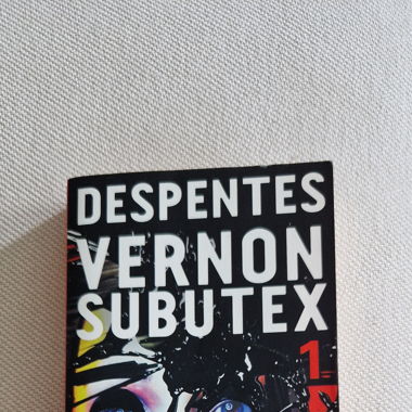 Livre Vernon Subutex tome 1