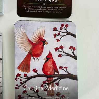 Seasons of the Witch: Yule Oracle Deck