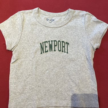 Grey Newport cropped tee by Brandy Melville