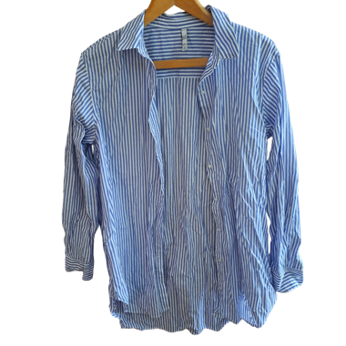 Blue Striped Shirt
