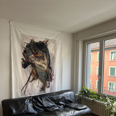 De Sede DS-169 / Ernst Ambühler