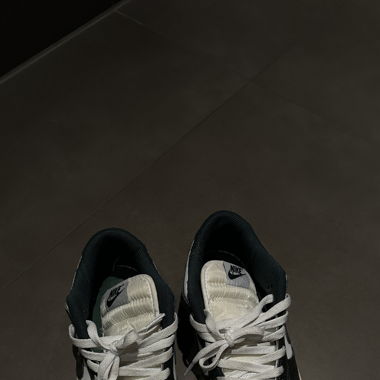 Nike Dunk Low