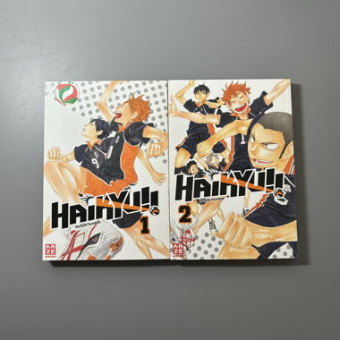 Haikyuu Manga Band 1&2 (Deutsch)