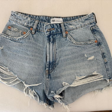 Zara Shorts