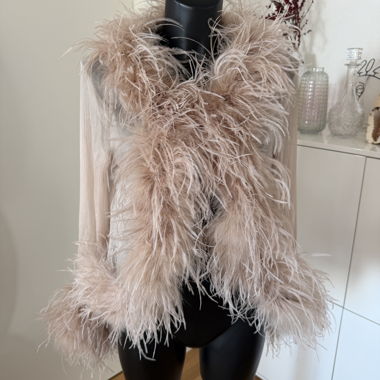Feather Trim Sheer Shrug