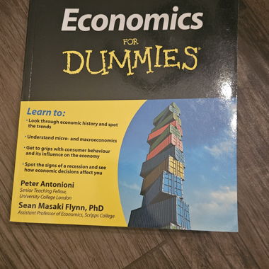 Economics for Dummies-Book