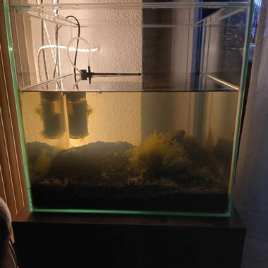 Vasca in vetro per acquario