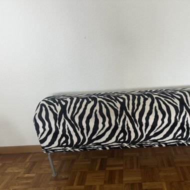 Zebrahocker
