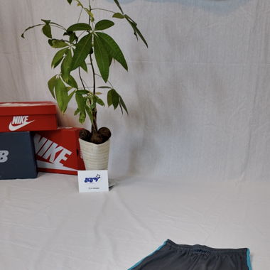 Trainerhose von Tottenham Nike 