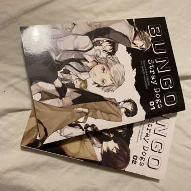 Manga Bungo Stray Dogs (1-2)