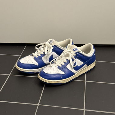 Nike Dunks