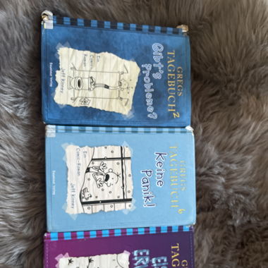 gregs tagebuch set 
