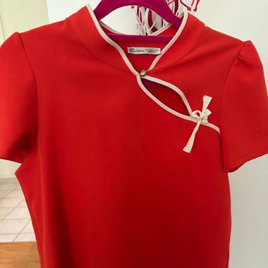 Red Blouse