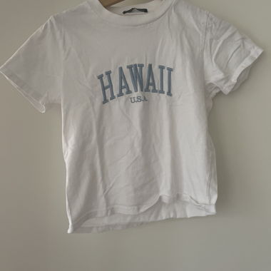 Hawaii-Hemd