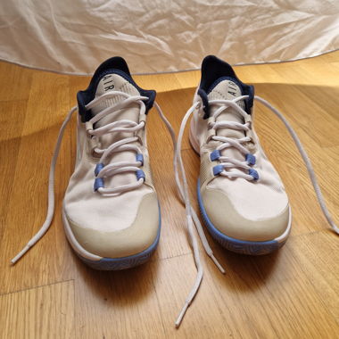 Basket Nike air Sport