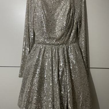 Silvery Dress