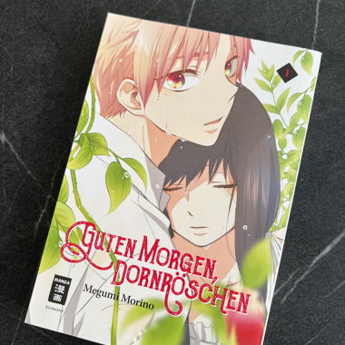 Guten Morgen, Dornröschen Manga