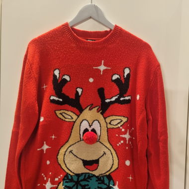 Weihnachtspullover Rentier FSBN