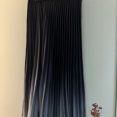 Black Pleated Skirt