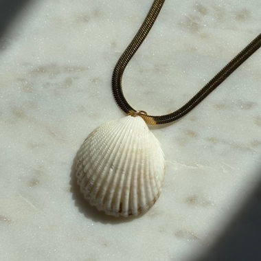Shell necklace