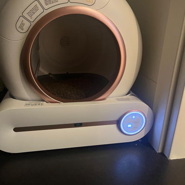 Automatische Katzentoilette