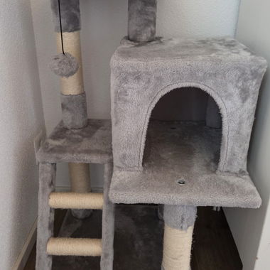 Arbre à chat avec griffoir et cachette