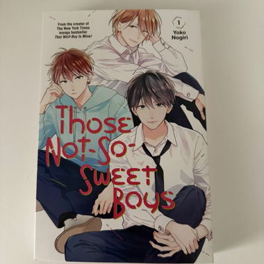 Those Not-So-Sweet Boys, Volume 1 English