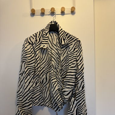 Zebra Set