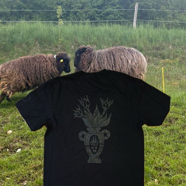 Merch Santa Rosa