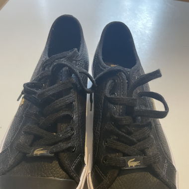 Neu Lacoste sneakers Gr.37