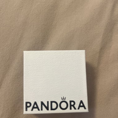 Pandora charm 