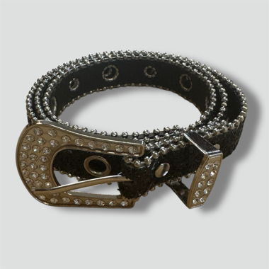 Y2K cottage core rhinestones and glitter belt