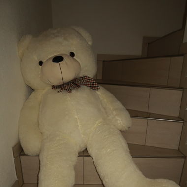 XXL Teddybear