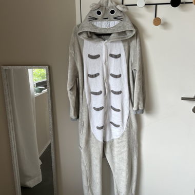 Costume Onesie Totoro
