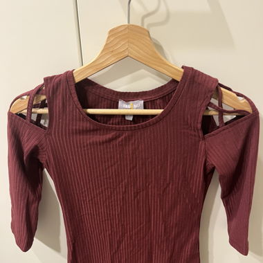 Roter Body