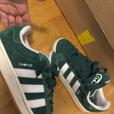 Adidas Campus Green
