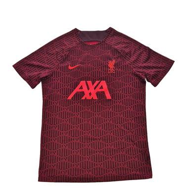 Liverpool Warm-Up Jersey