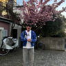 Noinio