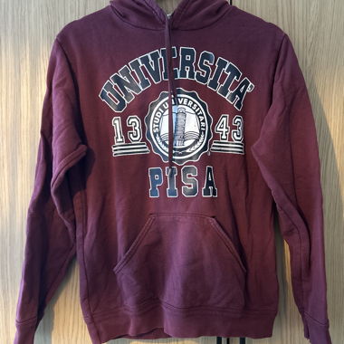Pisa University Hoodie