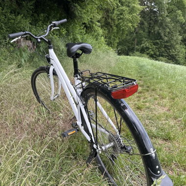 Giant Crosswave Touring Citybike