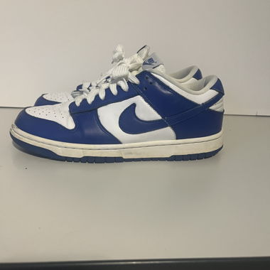 Nike Dunk Blau