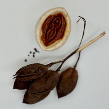 Vulvastik Achiote