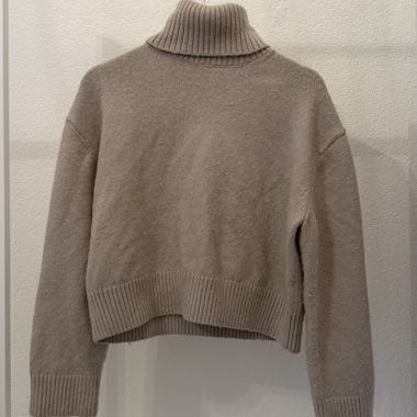Beiger Rollkragenpullover, cropped