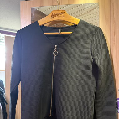 Blazers chicorée 