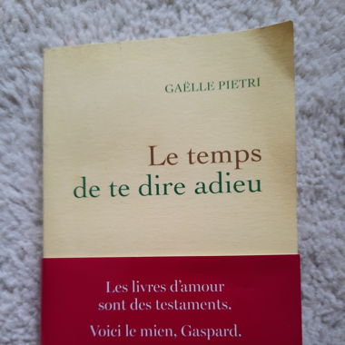 Libro "le temps de te dire adieu" (FR)