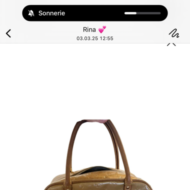Sac Louis Vuitton