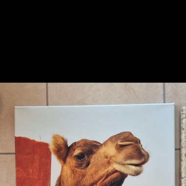 Canvas photography